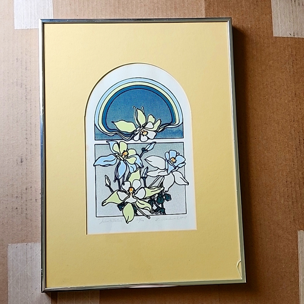 VINTAGE E. HARDWICK 1978 "SCINTILLATION" SIGNED # & FRAMED  PRINT 13.5" x 18.5"